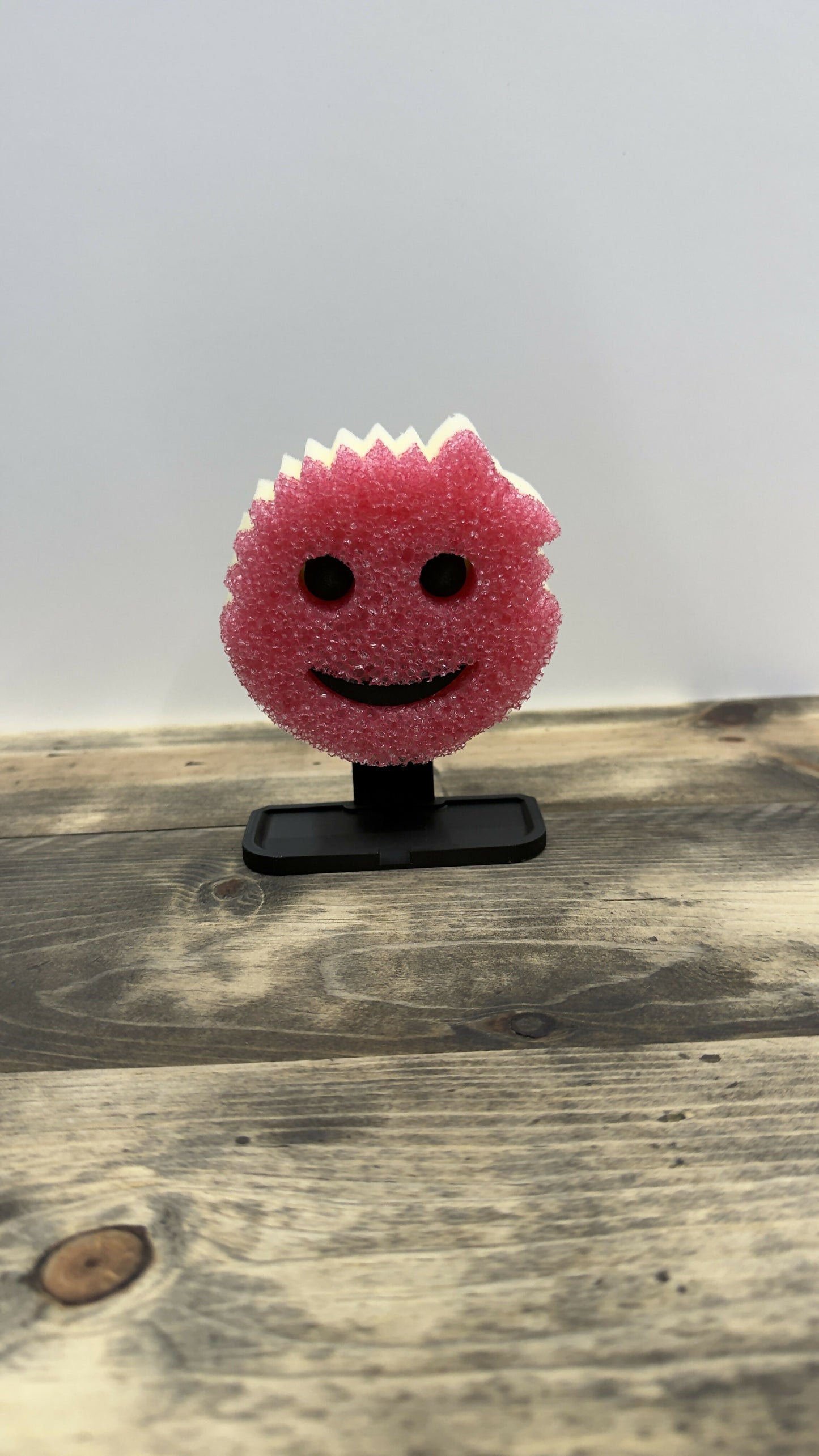 Scrub Daddy or Mommy Holder