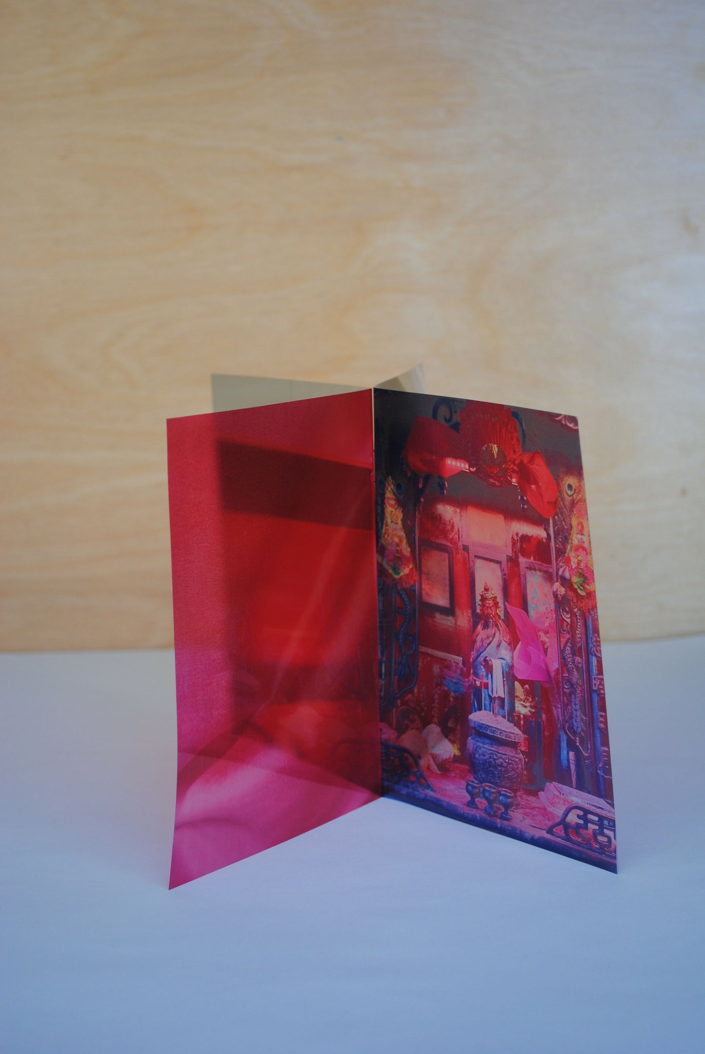 How We Retrieve and Perceive Reds and Pinks