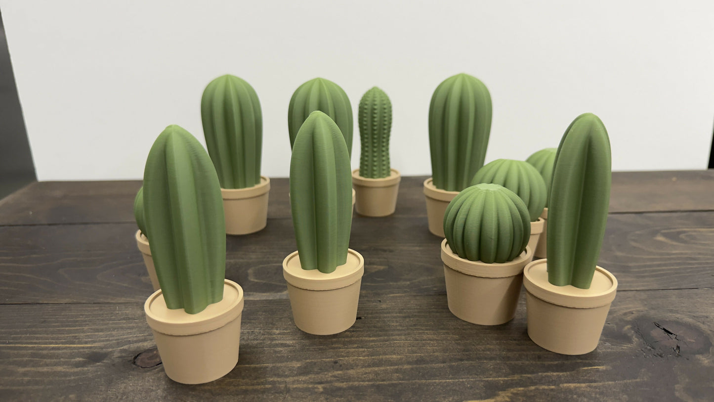 Cactus Plant