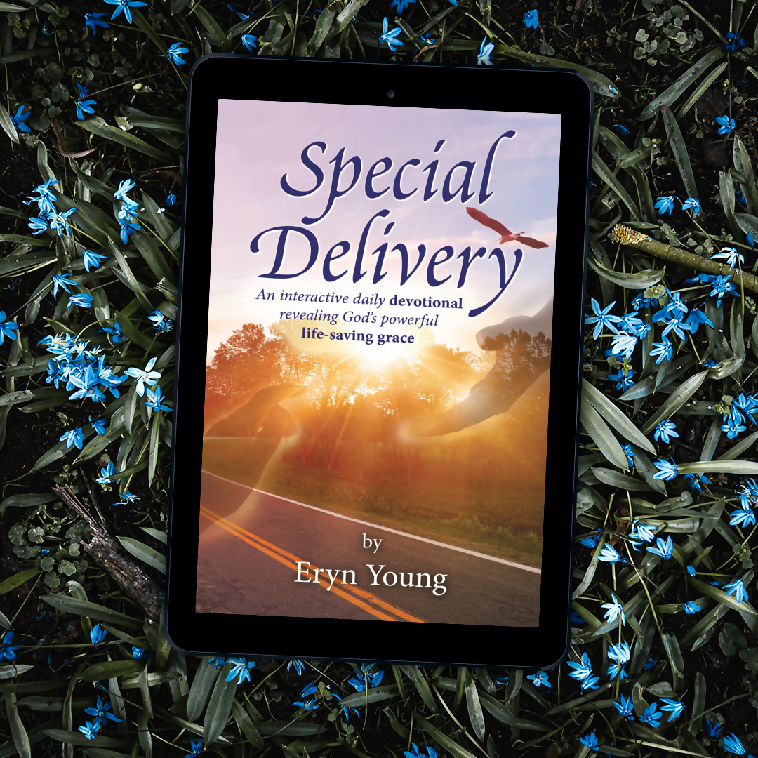 Special Delivery Book