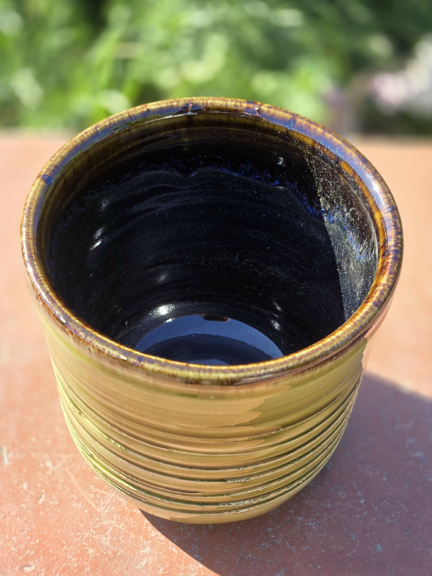 Green and Black Orquid Planter