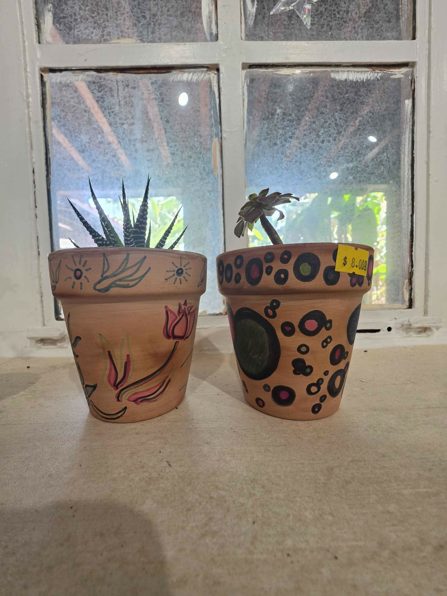 Large potted plants