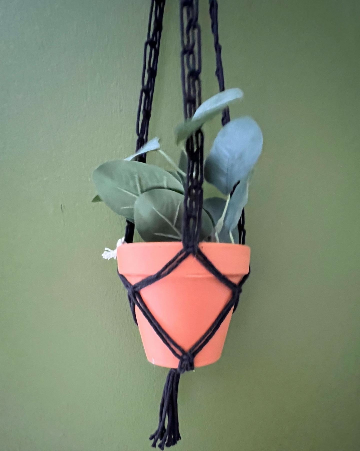 Black Plant Hanger