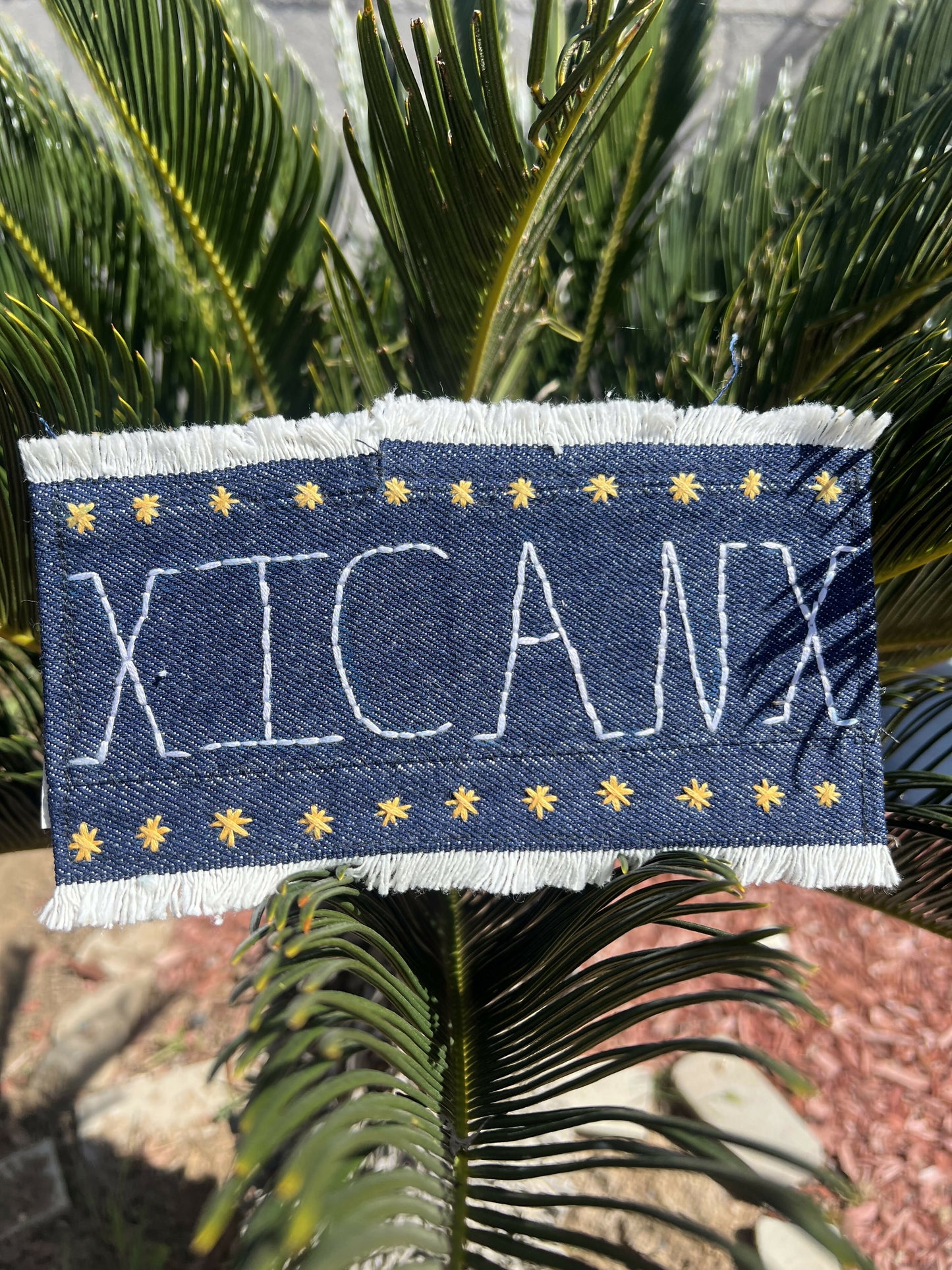 Xicanx Patch