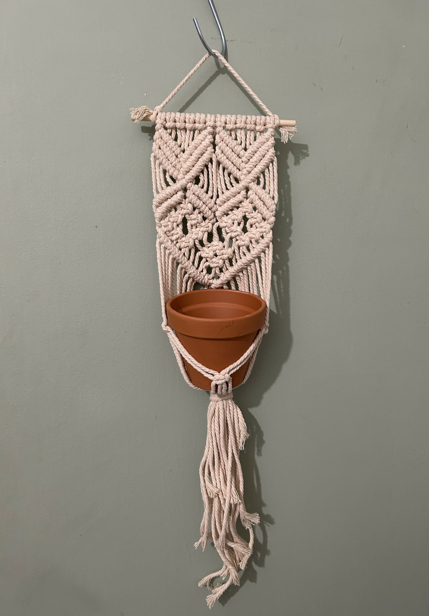 Small Wall Plant Hanger