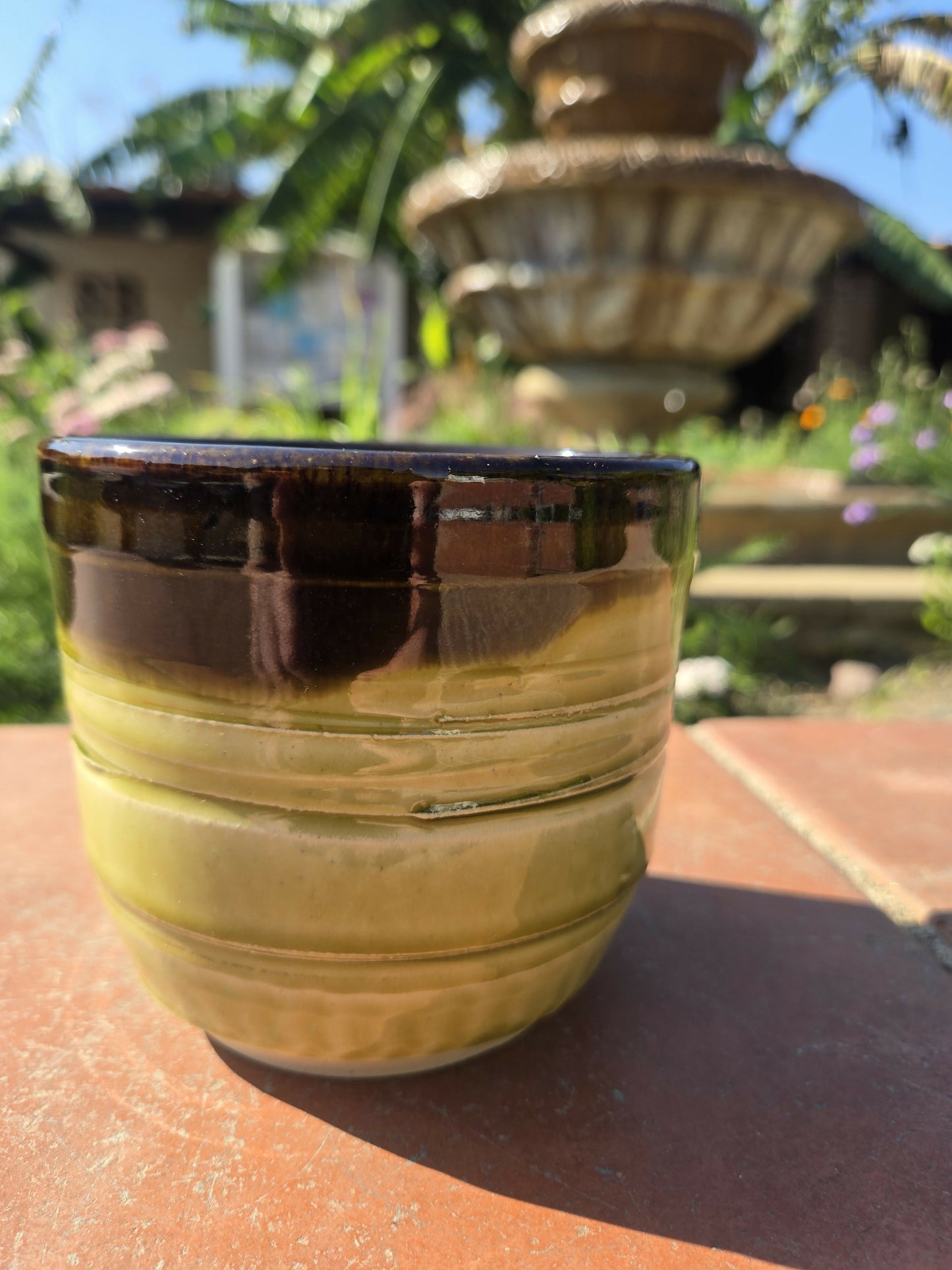 Spearmint green and Liquorice Black orquid planter