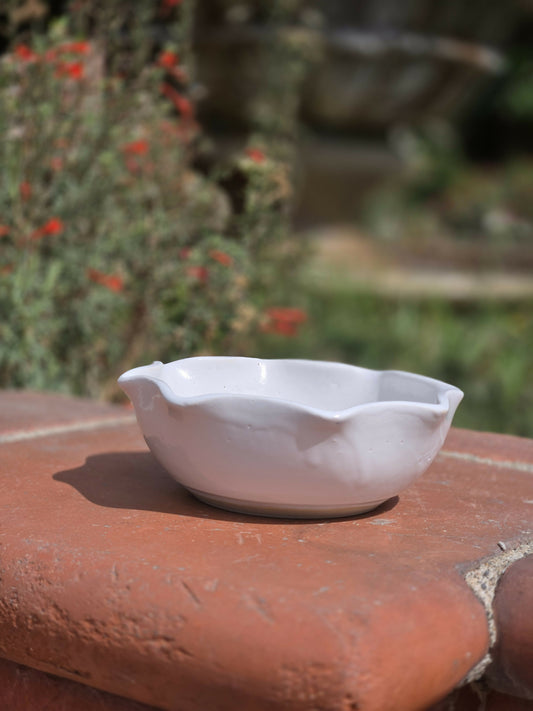 White Ice cream Bowl