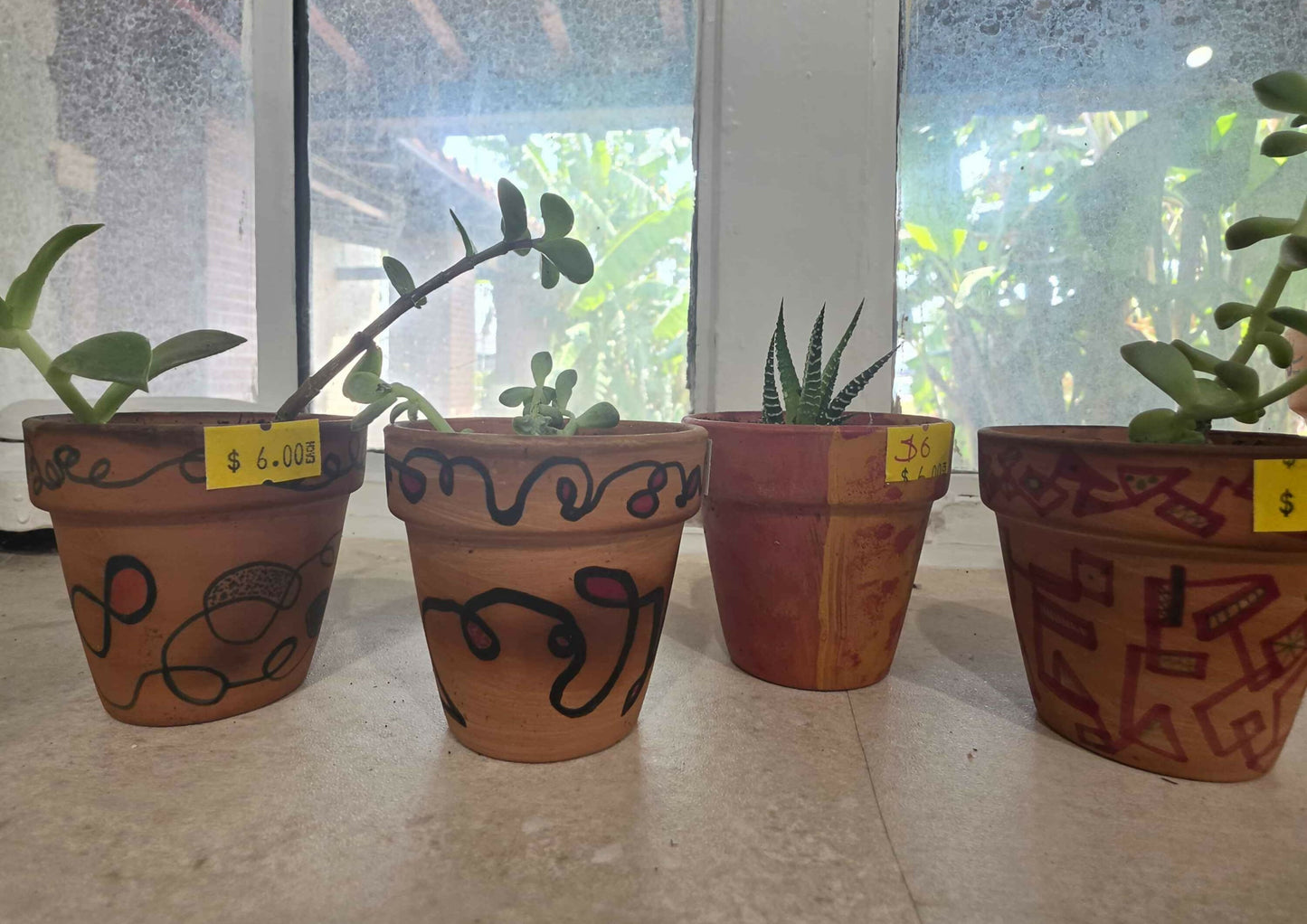 Small plants (succulents)