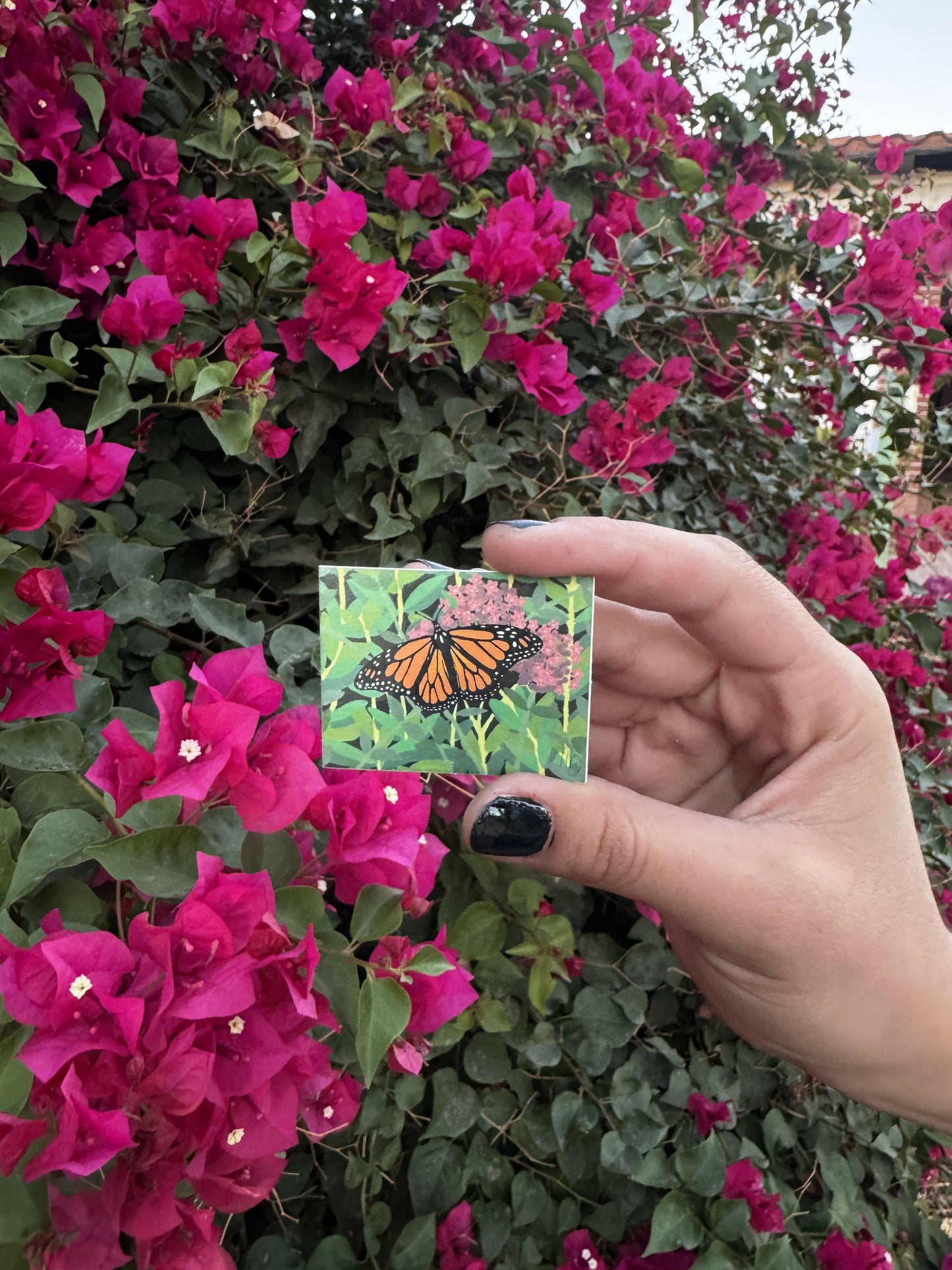MONARCH BUTTERFLY STICKERS