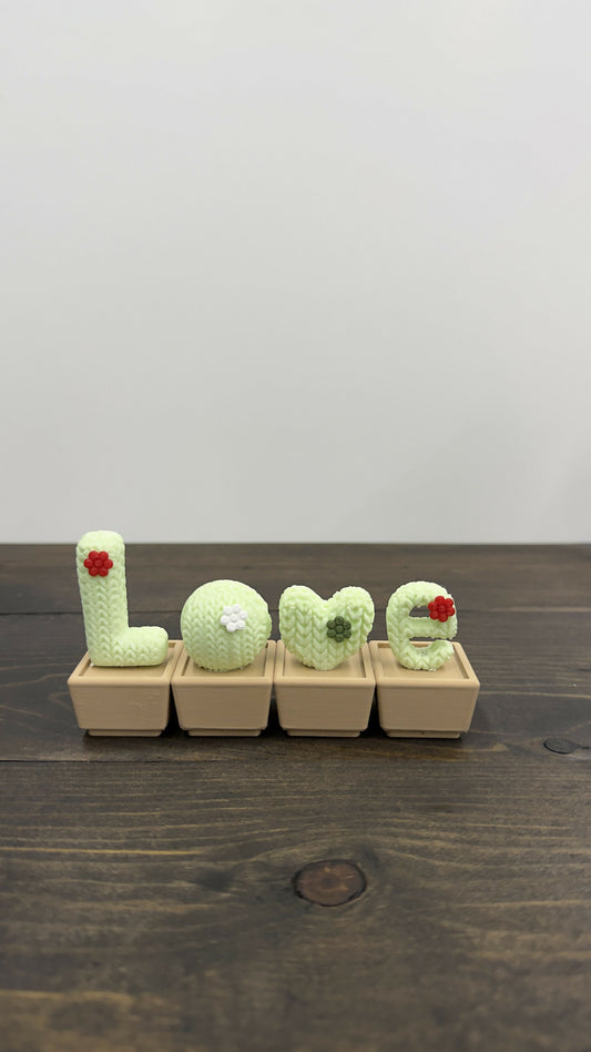 LOVE CACTUS