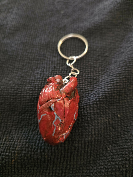 Anatomical heart - Keychain