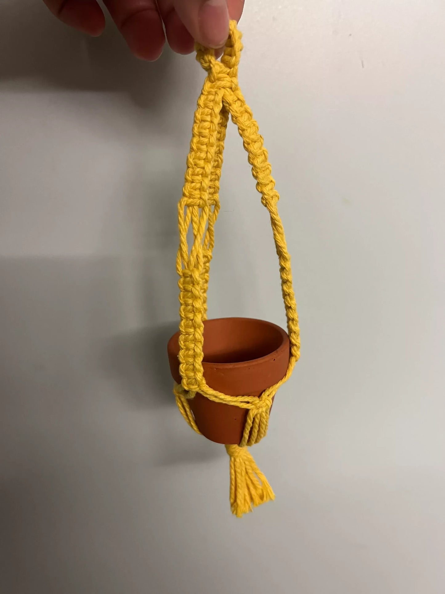 Mini Macrame Plant Hanger