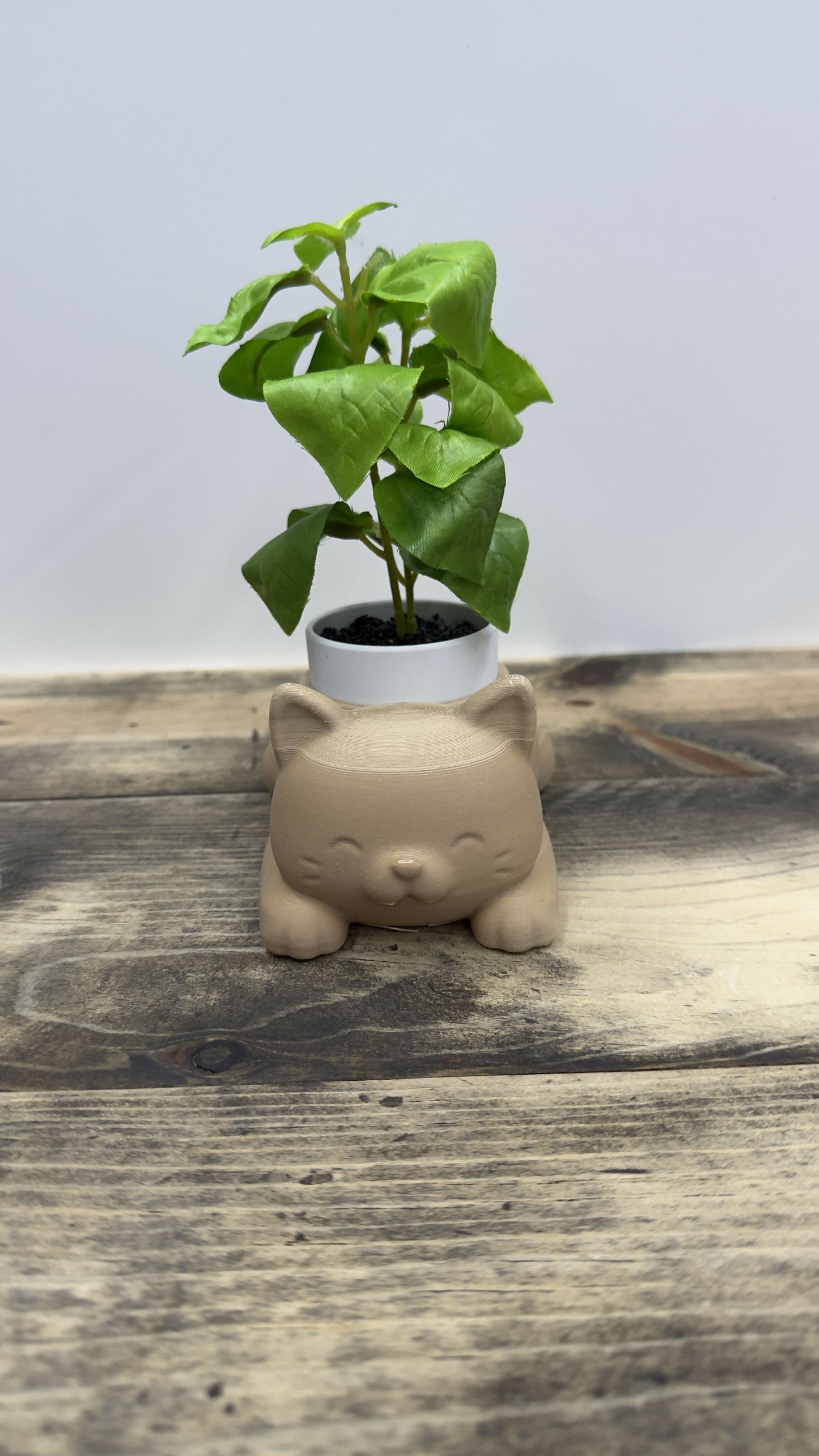 Cat Pot