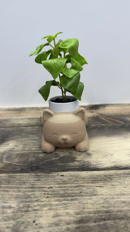 Cat Pot