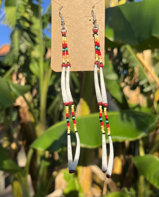 Dentalium Multicolor Earrings