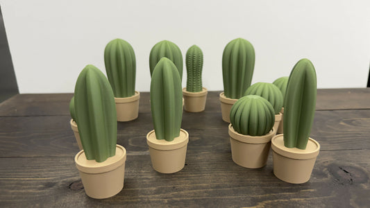Cactus Plant