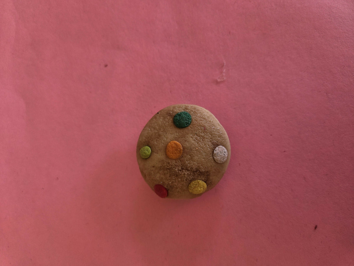 Mexican magnets galleta