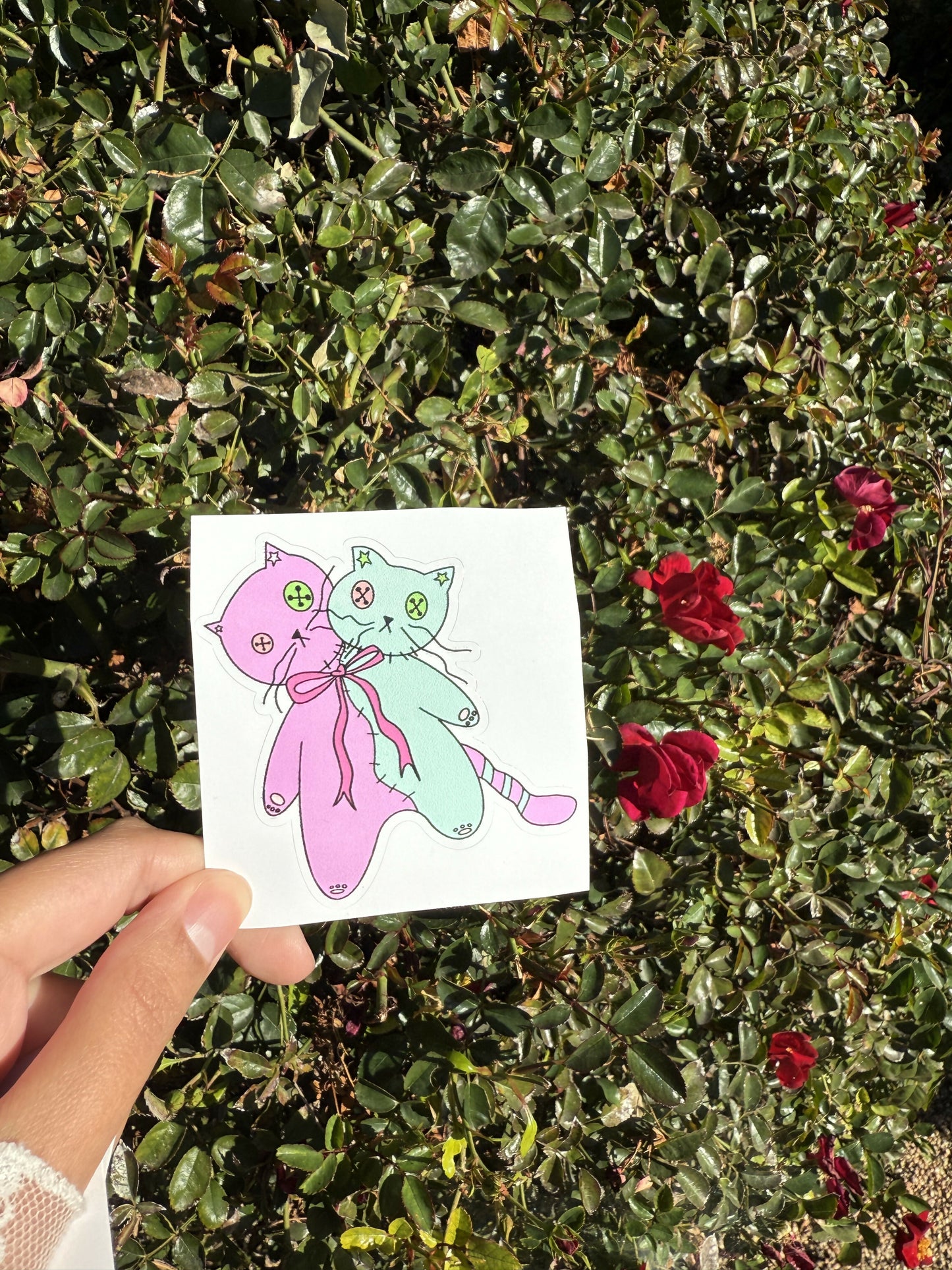 Conjoined cats sticker