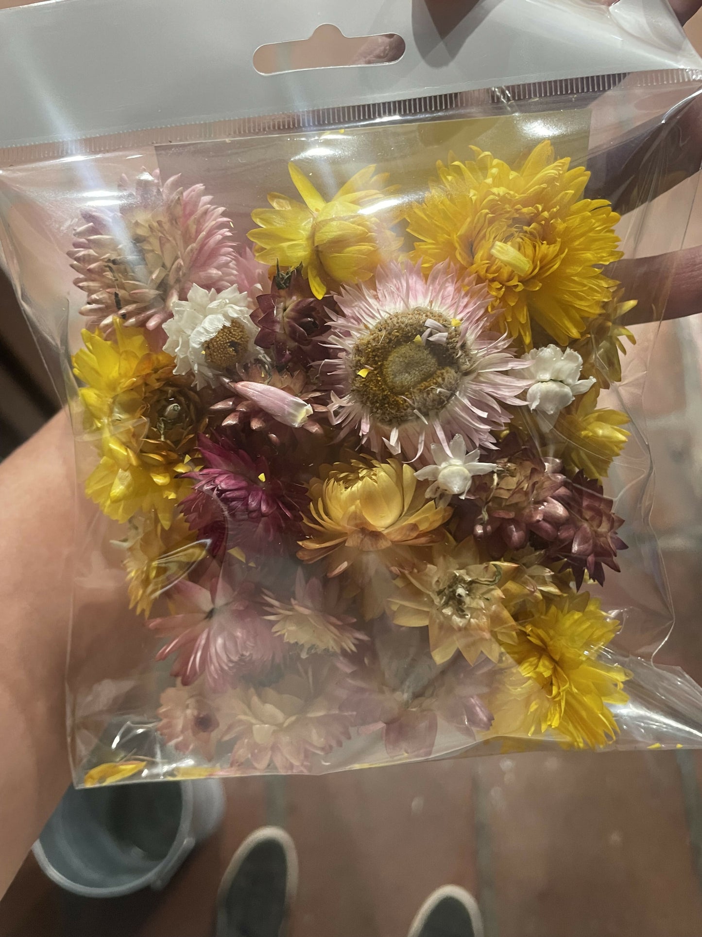 Homegrown Strawflower