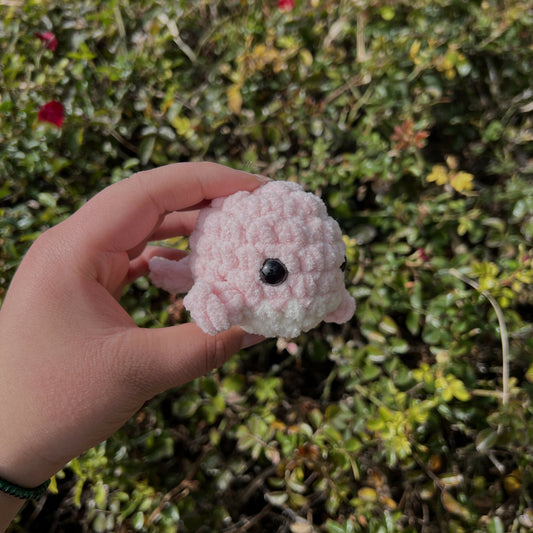 Mini whales