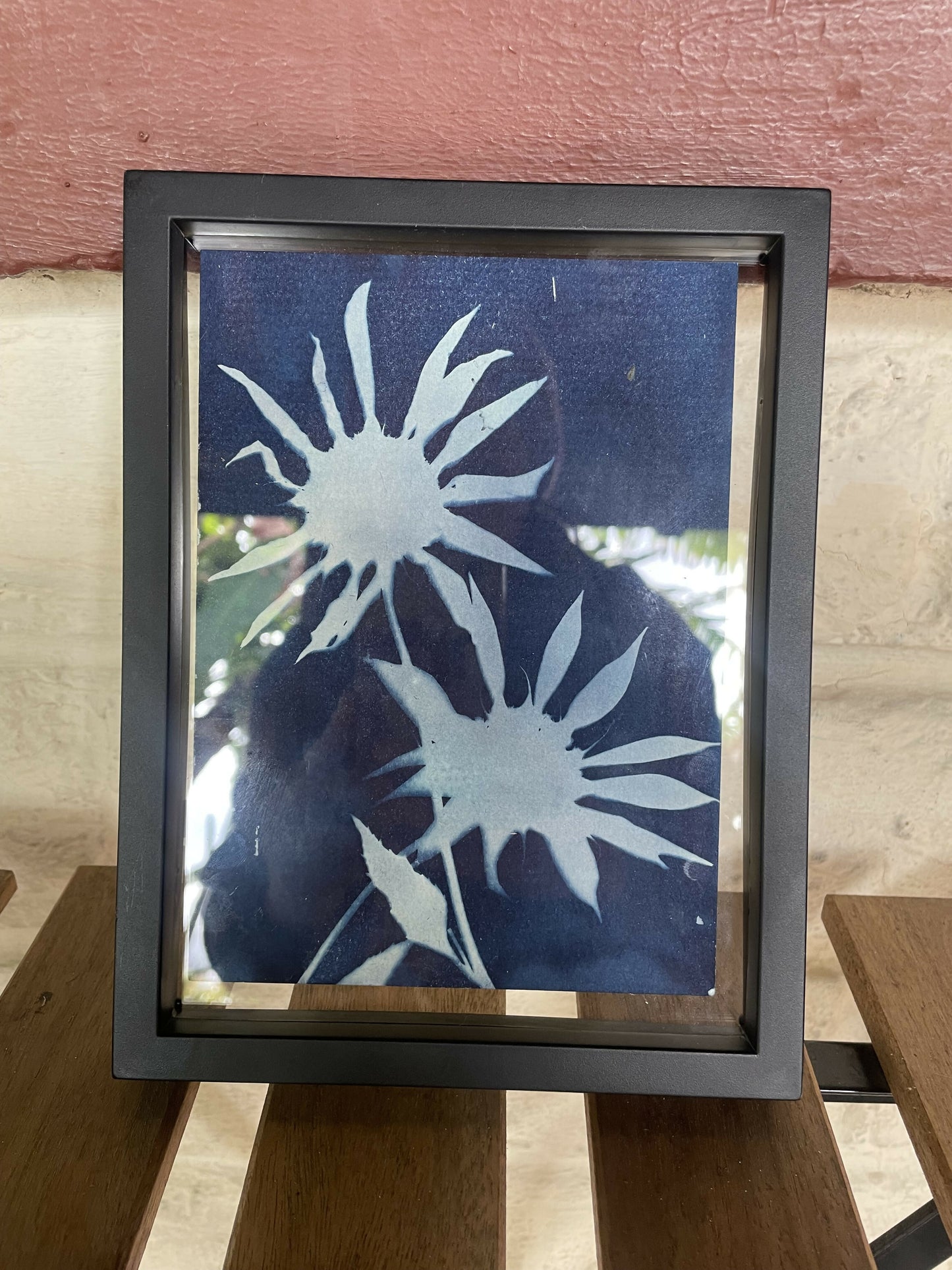 Framed Cyanotype Sunflower