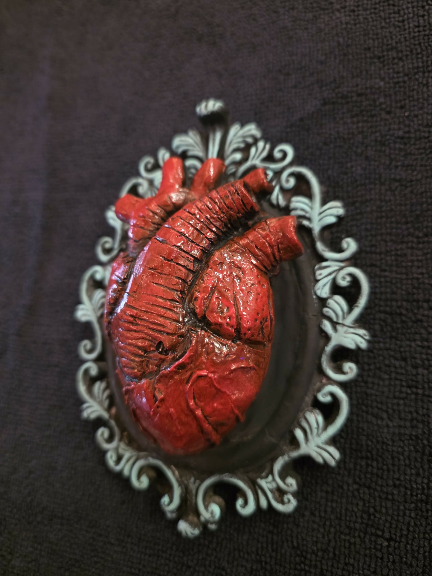 Anatomical heart with frame