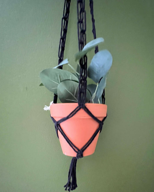 Black Plant Hanger