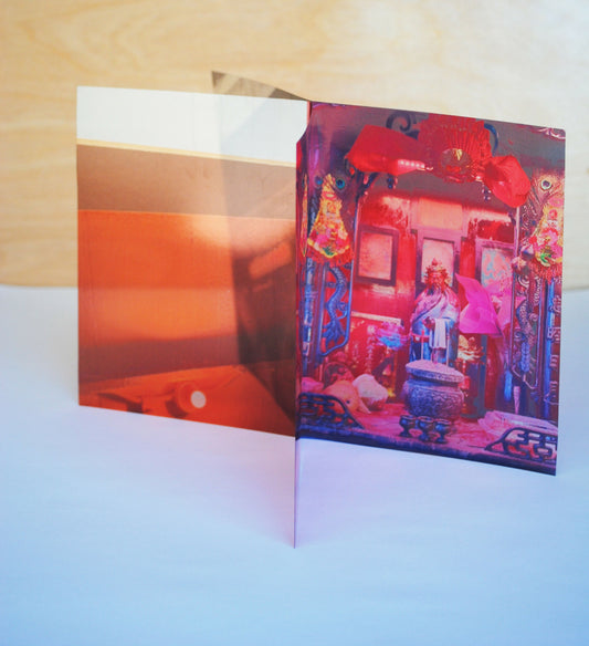 How We Retrieve and Perceive Reds and Pinks