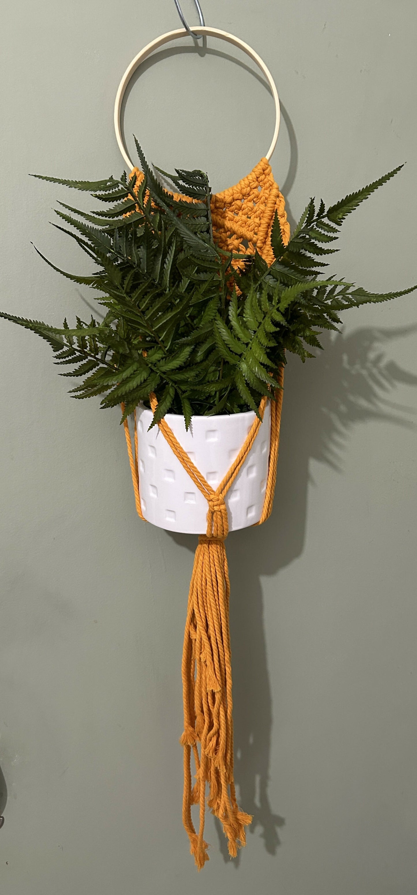 Yellow Wall Plant Hanger