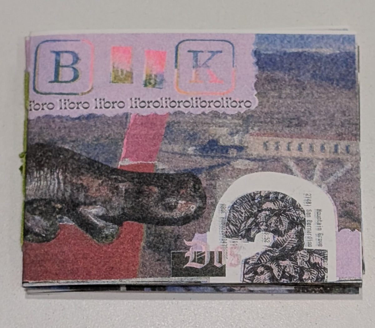 Book Libro Zine