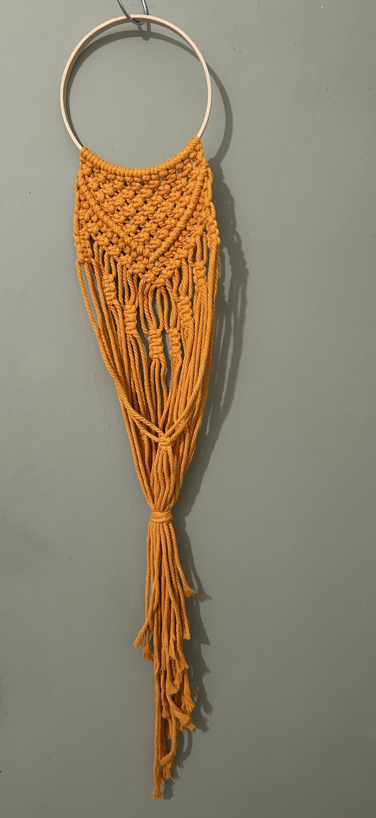 Yellow Wall Plant Hanger