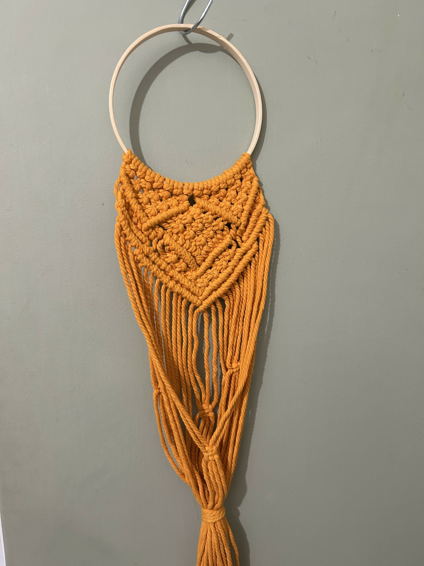 Yellow Wall Plant Hanger