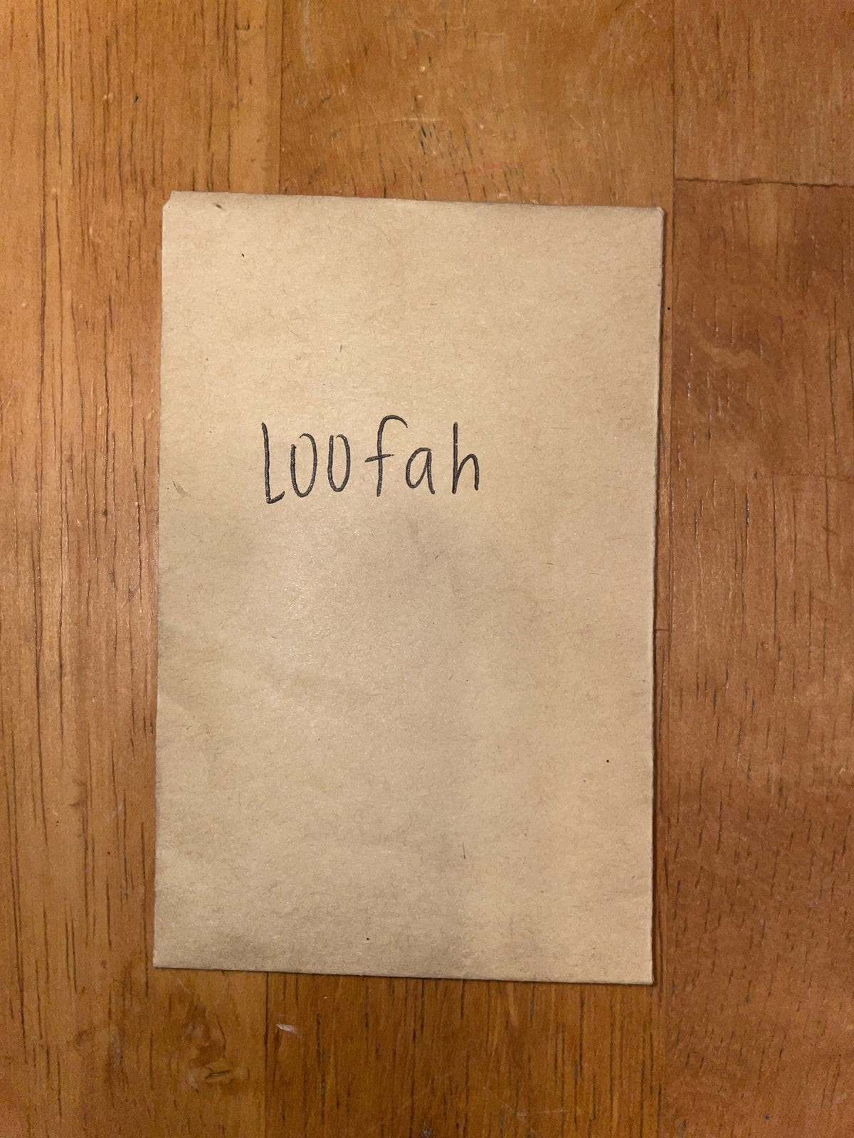Loofah seeds