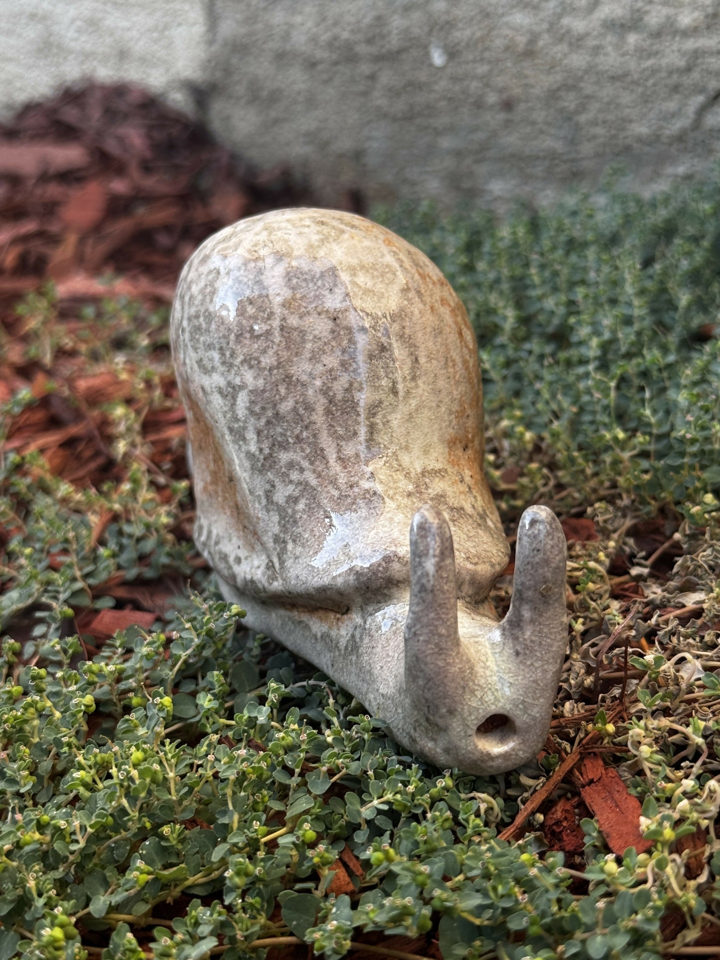 Soda Fired Ceramic Snail