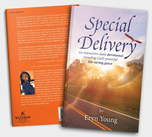Special Delivery Book