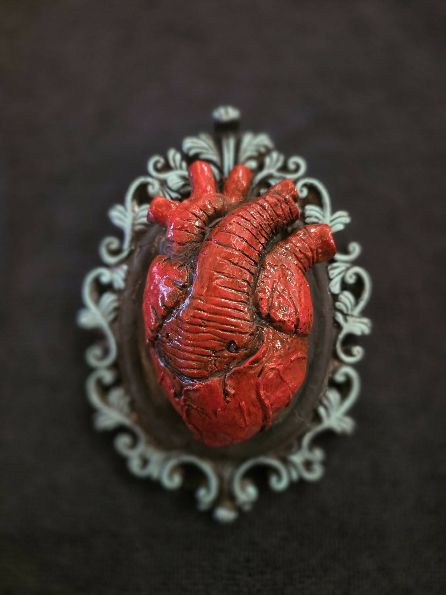 Anatomical heart with frame