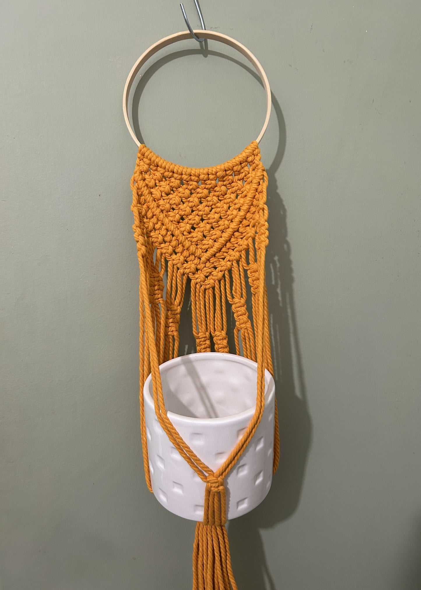 Yellow Wall Plant Hanger