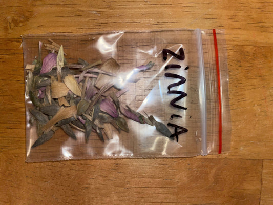 Zinnia seeds