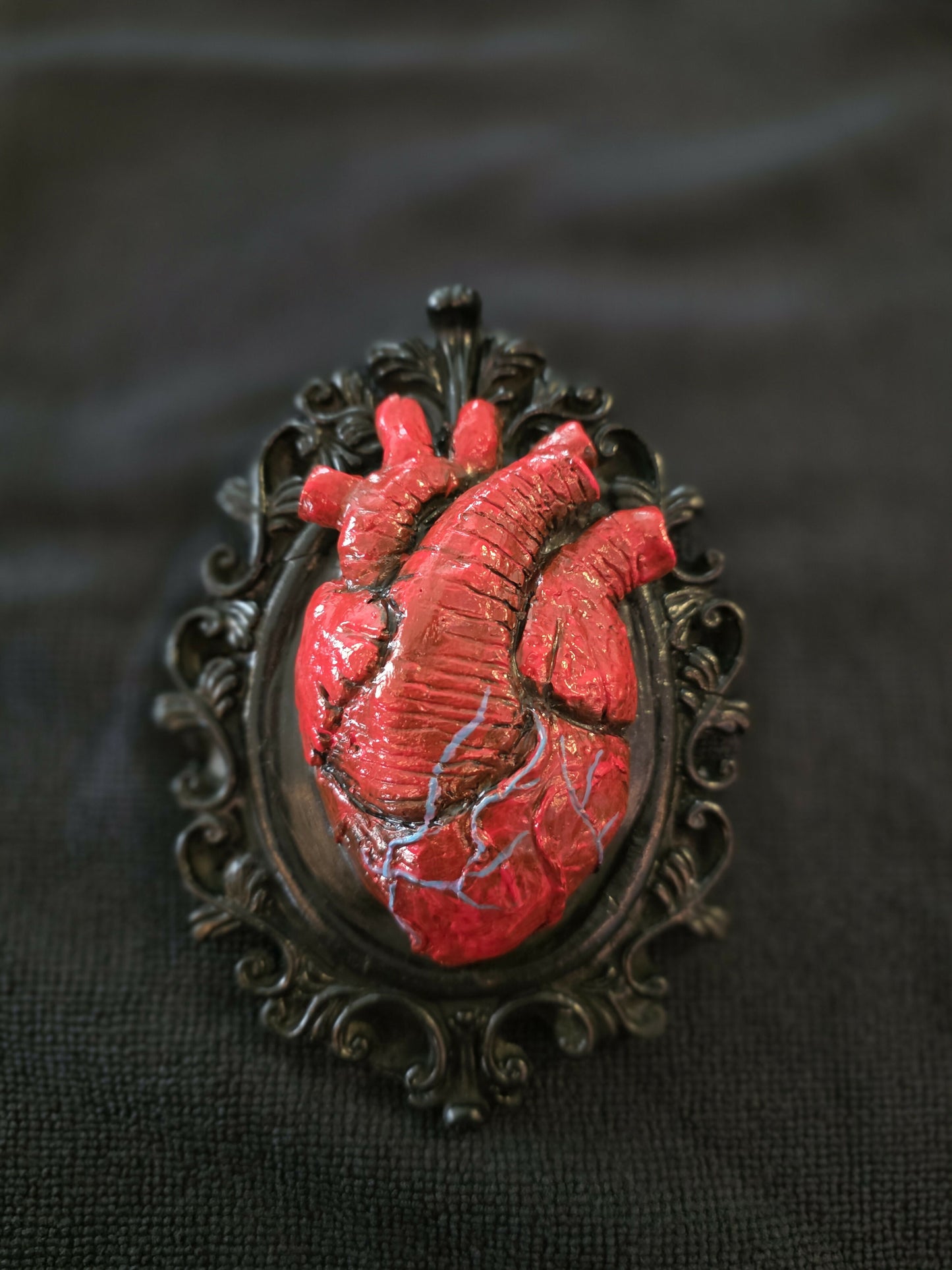 Anatomical heart with frame