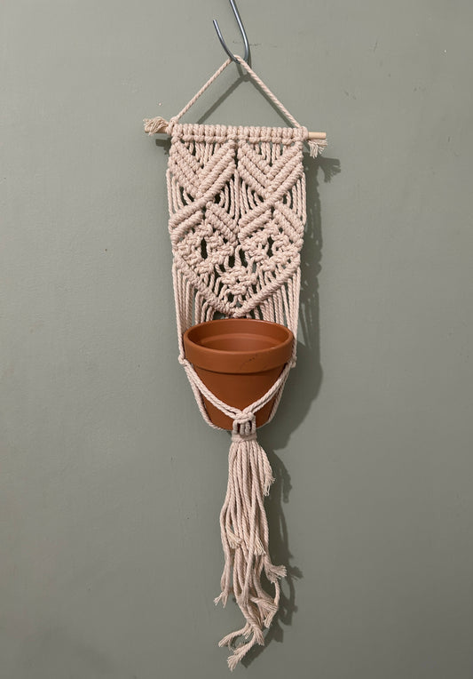 Small Wall Plant Hanger