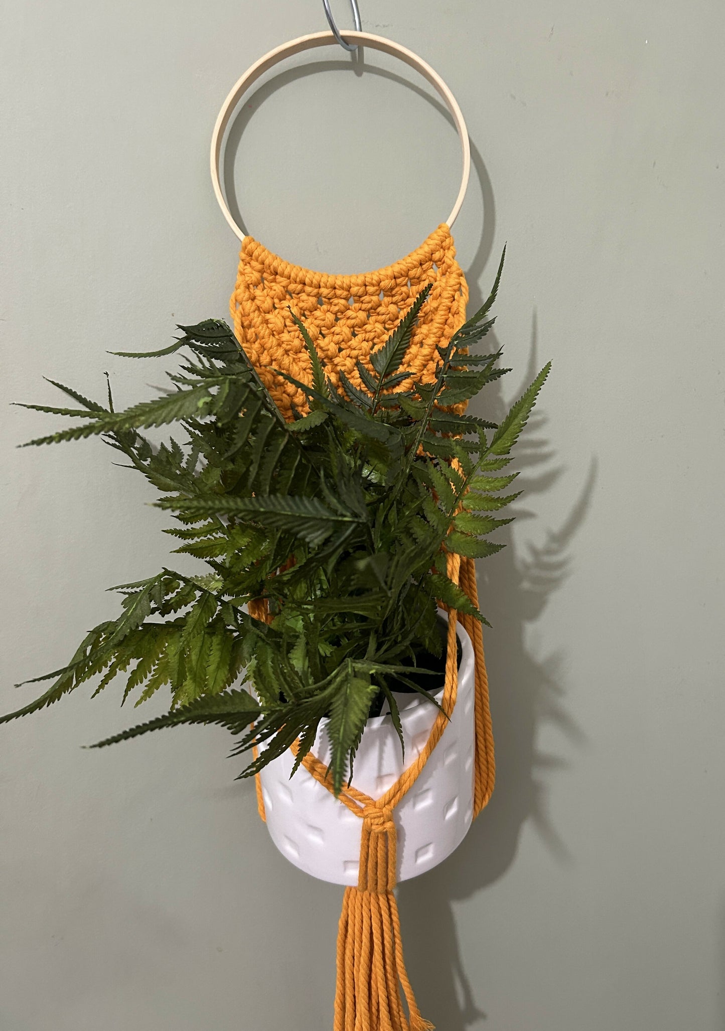 Yellow Wall Plant Hanger