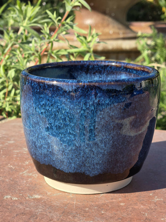 Blue and Black Orquid Planter