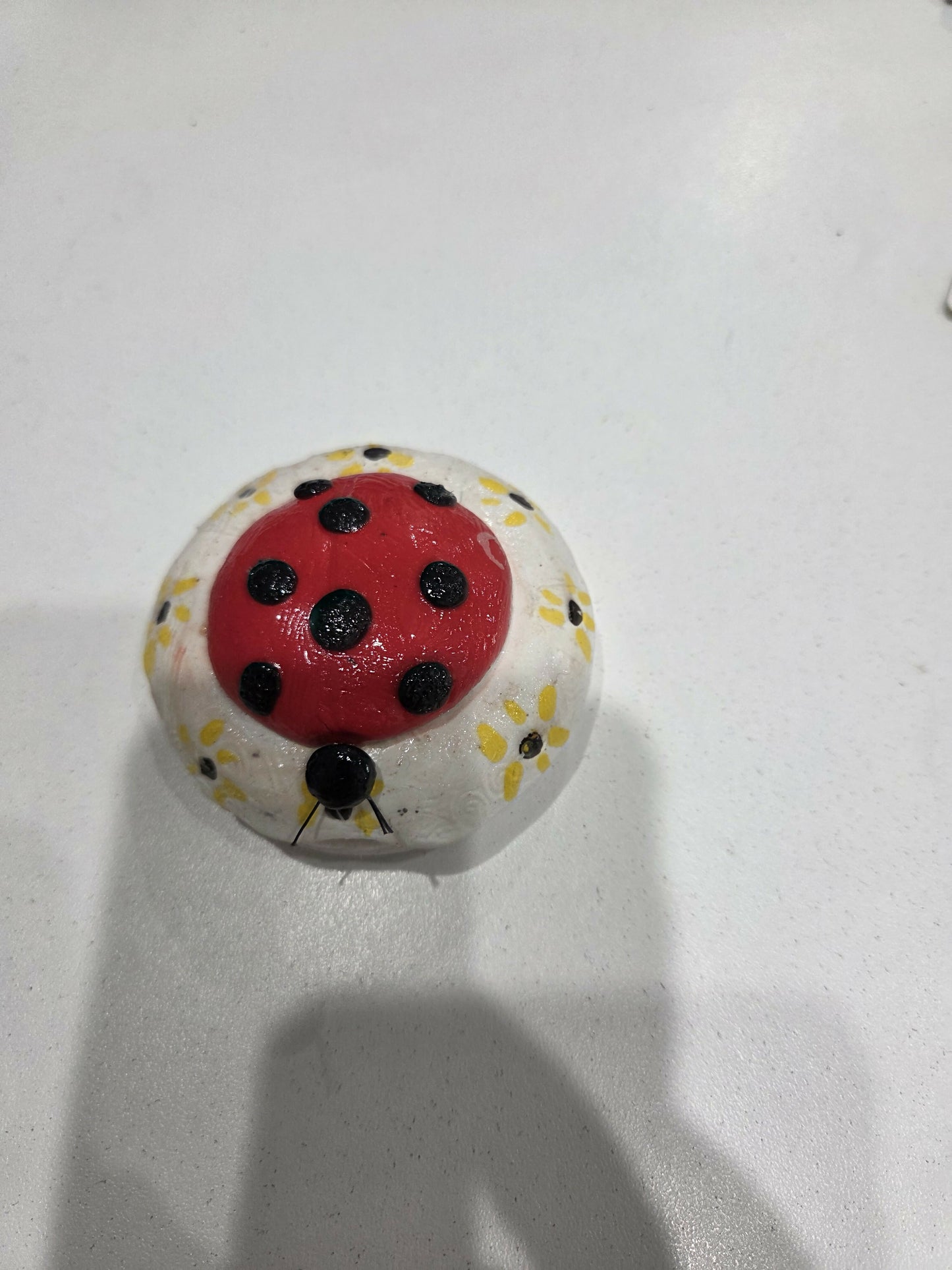 Ladybug mirror