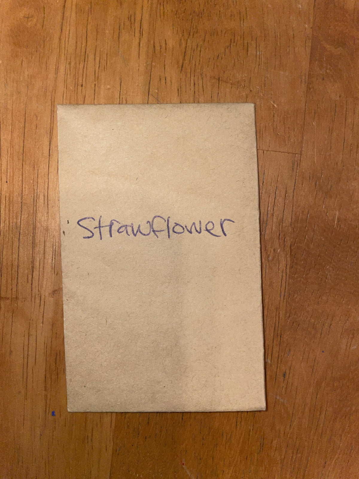 Strawflower Seeds
