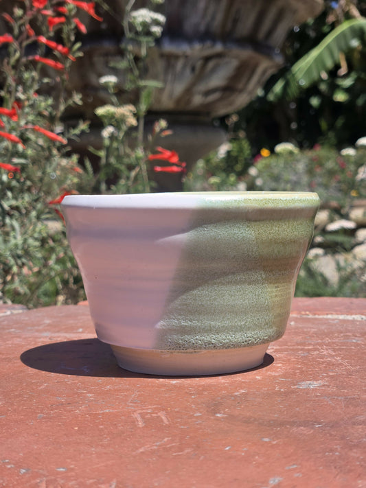 Green and White Cup