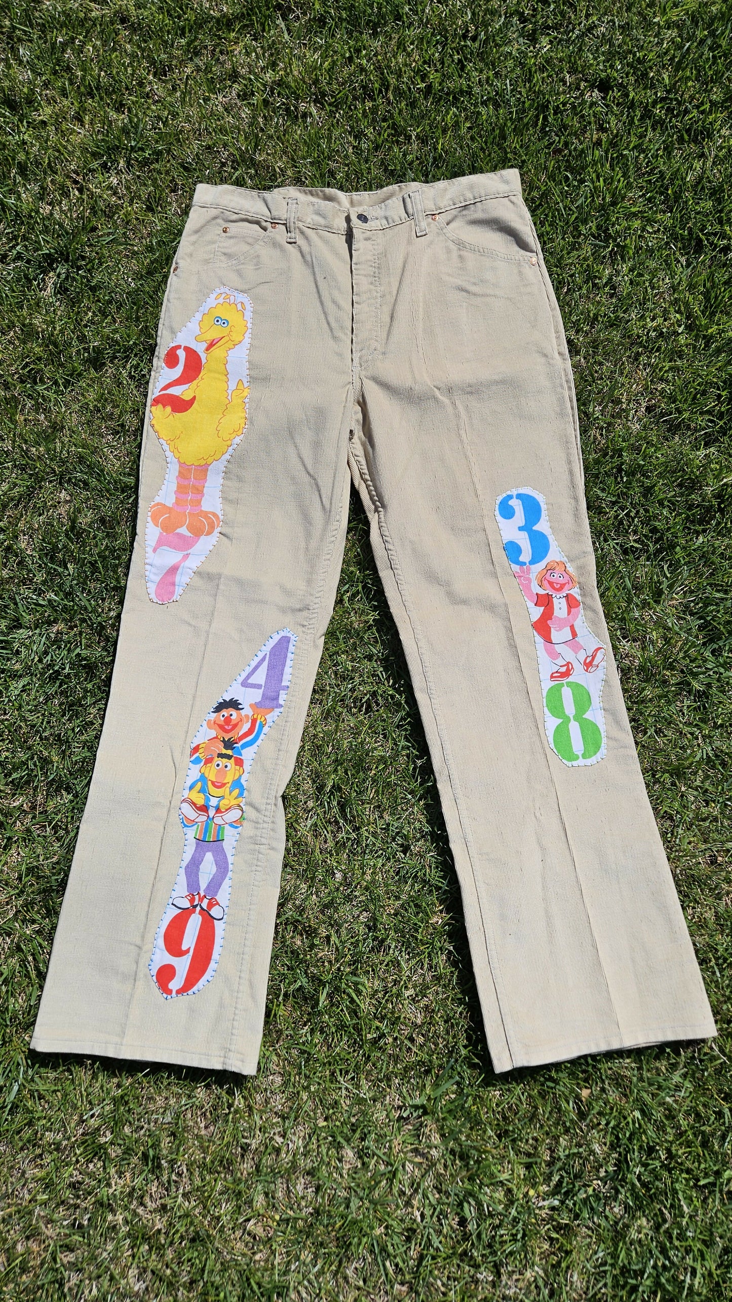 Sesame Street Dream Pants
