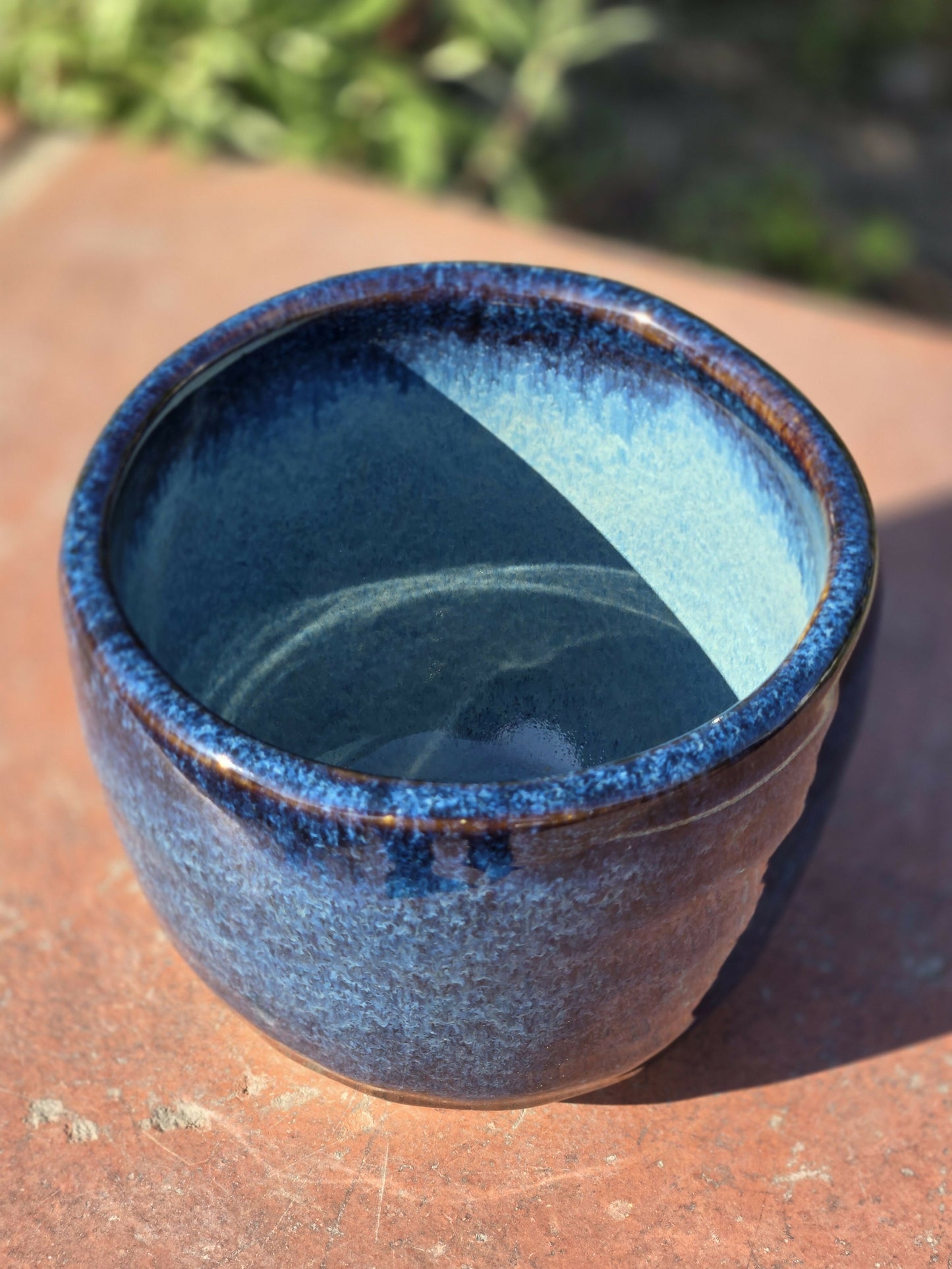 Blue and Black Orquid Planter