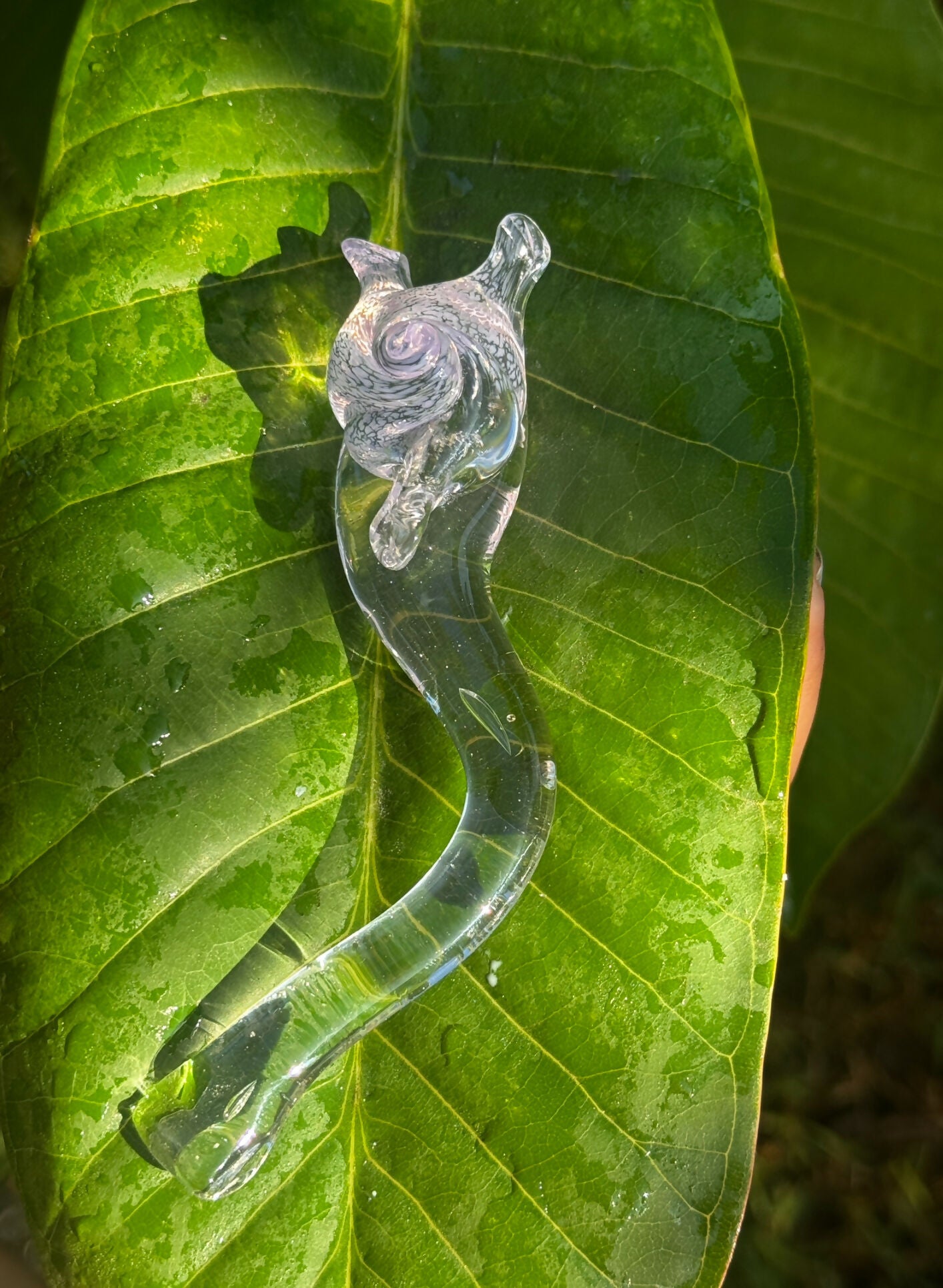 Miniature Glass Snail